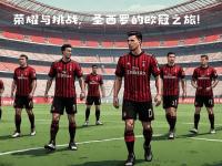 买二手皇冠的10大忠告-开云网站入口官网