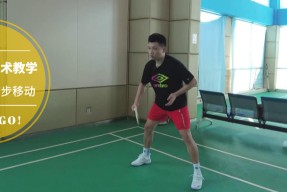 摩托车赛赛场再起风云：东海风暴队击败北城烈马队，脚步移动更到位赛场纪律更严谨的简单介绍