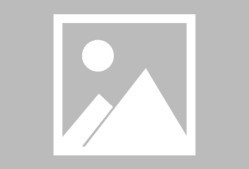 开云体育app -Scout官方宣布夺冠新规，SKT引发争议！(skt scout出场)