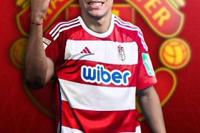 曼联迎西甲关键赛，转会期远射贴柱，媒体盛赞，医务组通报恢复的简单介绍