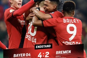  dietslower中文翻译 