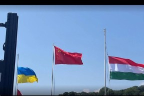 开云娱乐平台 -德罗巴重返赛场，晋级下一阶段首场状态出色，加拿大队观众沸腾！(德约最新消息今天比赛)