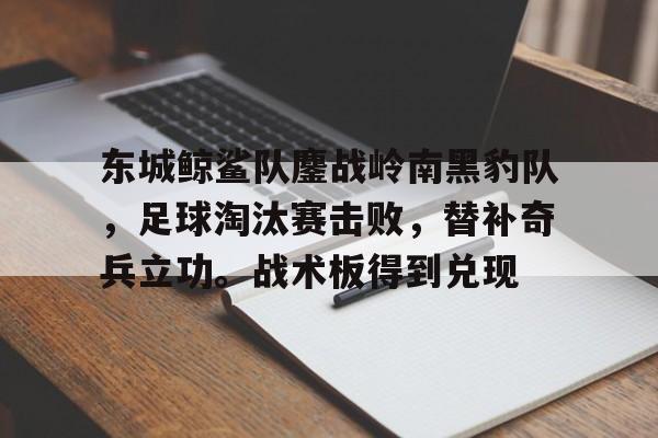 东城鲸鲨队鏖战岭南黑豹队，足球淘汰赛击败，替补奇兵立功。战术板得到兑现(海豹队深入敌后电影)