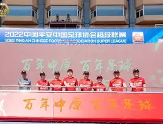 粤西雪豹队鏖战嵩山暴熊队，电竞联赛守住胜果，替补奇兵立功。高压逼抢成功的简单介绍